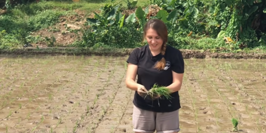 Bule Ukraina Sekali Diajari Langsung Bisa Menanam Padi di Sawah