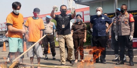 Polres Tangerang Musnahkan 64 Kg Ganja Hasil Tangkapan Selama Juni-Juli