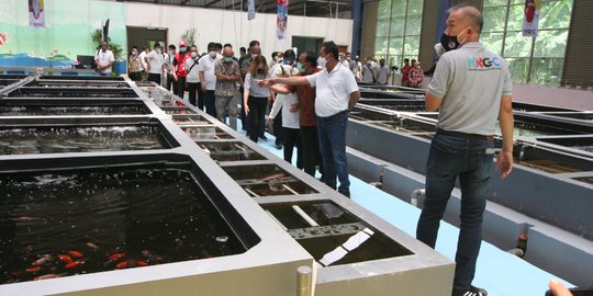 KKP Targetkan Penerimaan Rp3,71 T dari Program Lumbung Ikan Nasional Maluku