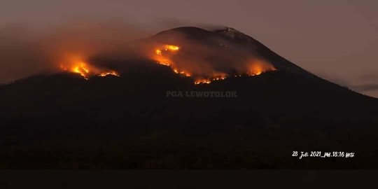 Kebakaran Hutan dan Padang Rumput Akibat Erupsi Gunung Ile Lewotolok Semakin Meluas
