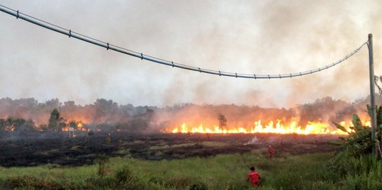 20 Hektare Lahan Tidur di Ogan Ilir Terbakar, Api Belum Padam