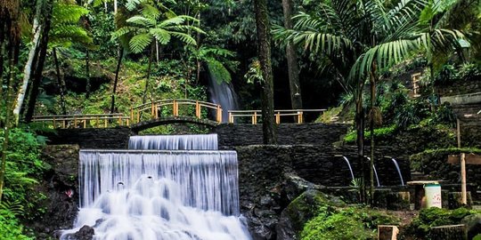 Asrinya Curug Cipeuteuy Majalengka, Dikelilingi Hutan Pinus dengan Air Biru Mengalir