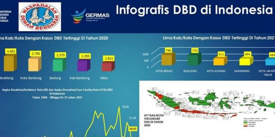 Lima Daerah Ini Catatkan Angka Kasus DBD Tertinggi pada 2021