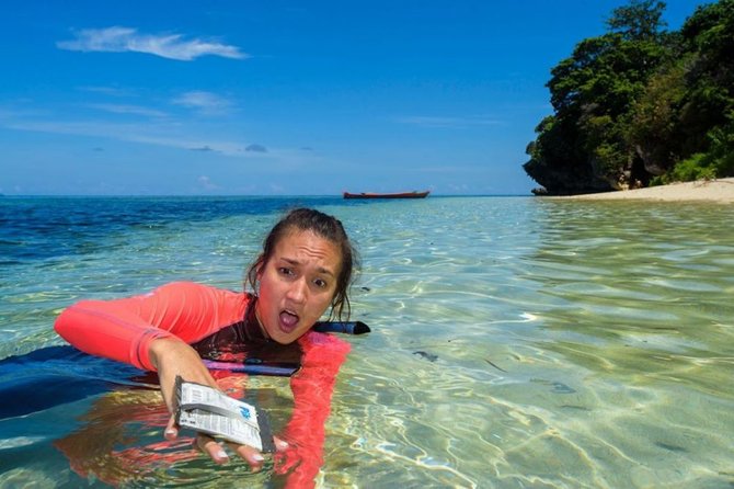 artis aktivis lingkungan