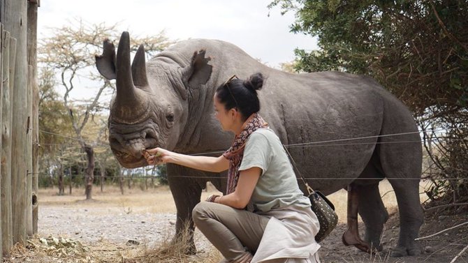 artis aktivis lingkungan