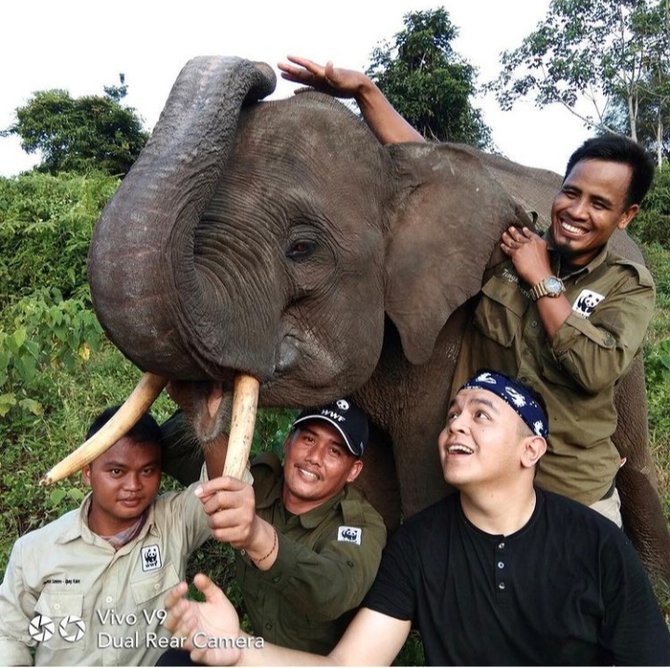 artis aktivis lingkungan