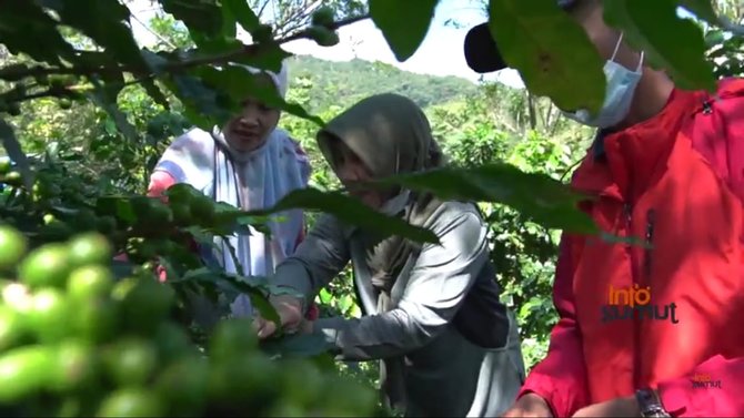 bantu beri modal bibit pesantren ini dobantu beri modal bibit pesantren ini dongkrak perekonomian warga lewat kopingkrak perekonomian warga lewat kopi