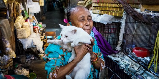 Sosok Mbah Sendang, Sang Pahlawan Penyelamat Kucing Terlantar di Solo