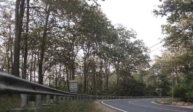 keangkeran hutan jati blora