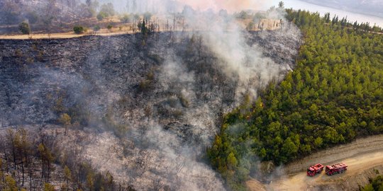 Kondisi Hutan di Turki yang Dilanda Kebakaran Hebat