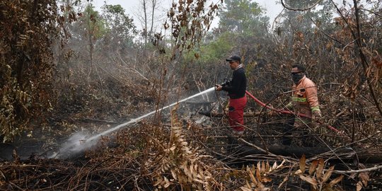 BPBD: Puncak Karhutla di Kapuas Hulu Diperkirakan Agustus-September 2021