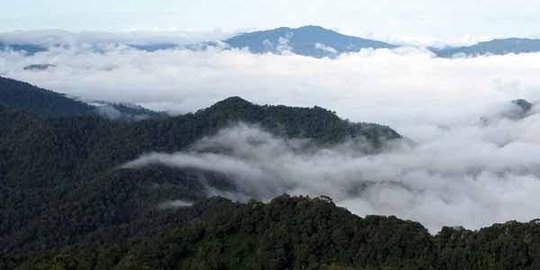 Daftar Destinasi Baru Situs Warisan Dunia UNESCO, dari Spanyol sampai Korea Selatan