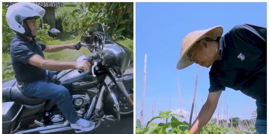 Cerita Sukses Petani Cabai di Magelang, Belajar Otodidak hingga Bisa Beli Harley