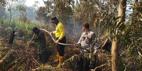 Kebakaran Lahan dan Pembuatan Kanal Penyebab Utama Kerusakan Lahan Gambut