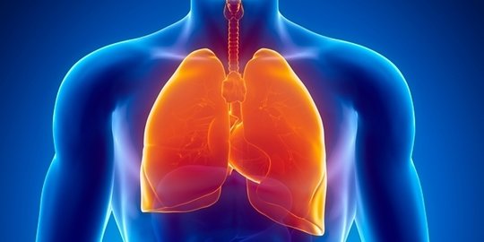 Penyebab Flek Paru-paru yang Perlu Diwaspadai, Ketahui Cara Mencegahnya