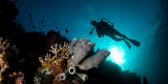 gratis di 5 destinasi wisata indonesia rev2