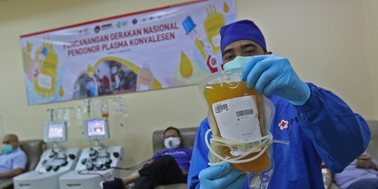 JK Sebut PMI Masih Kekurangan Stok Plasma Konvalesen, Ajak Penyintas Covid Mendonor