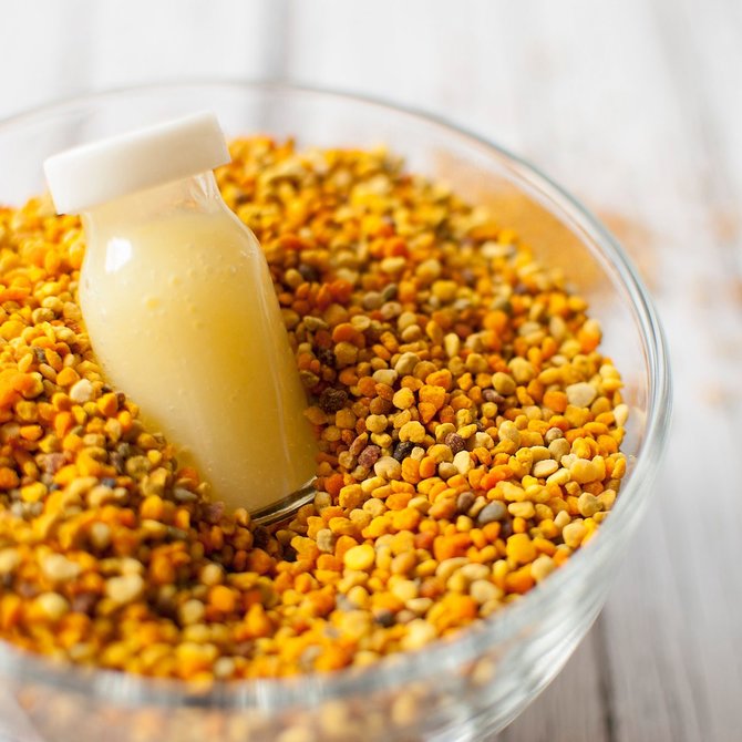 ilustrasi royal jelly