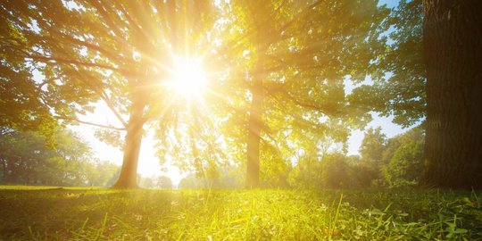 6 Manfaat Sinar Matahari bagi Manusia yang Patut Diketahui, Baik untuk Tulang
