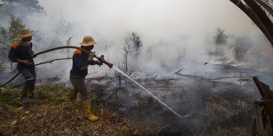 Kebakaran di Sambas Akibat Pembukaan Lahan Berkebun, Pemadaman Gunakan Sumur Bor