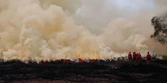 Kebakaran Selama 3 Hari Sebabkan Hampir 50 Hektare Lahan di Ogan Ilir Hangus