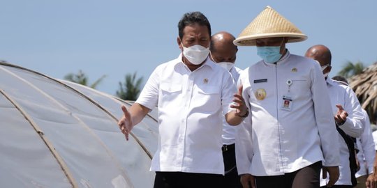 Cuaca Mendukung, Sektor Perikanan Tercatat Tumbuh 9,69 Persen di Kuartal II-2021