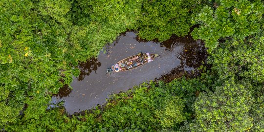 Menyusuri Hutan Rawa Langka di Afrika Barat