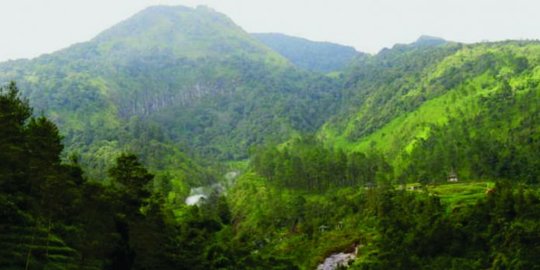 Jalani Ritual di Sendang, Tiga Pendaki Gunung Ungaran Ini Dilaporkan Hilang