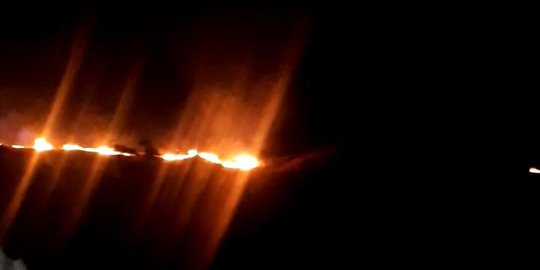 BTNK Selidiki Penyebab Kebakaran di Kawasan Taman Nasional Komodo