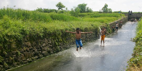 Serunya Bermain Seluncur di Perosotan Viral Tengah Sawah Mojokerto