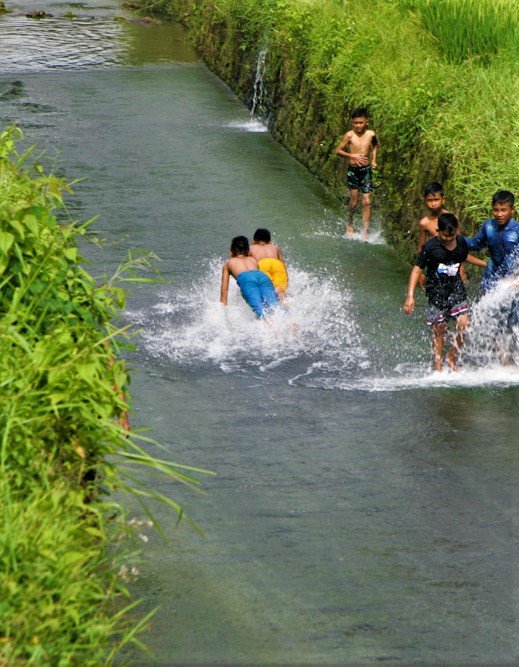 perosotan tengah sawah mojokerto