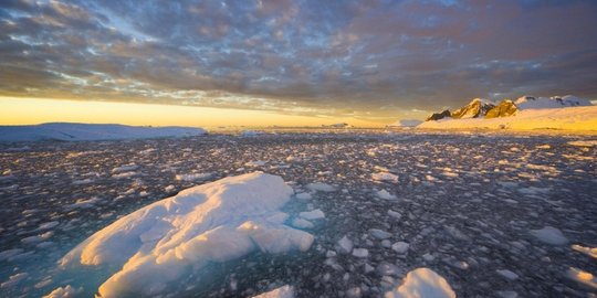 akan tetap naik rev1