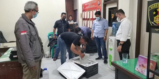 Tiga Orang di Riau Coba Selundupkan 65 Ribu Benih Lobster Bernilai Rp12 Miliar