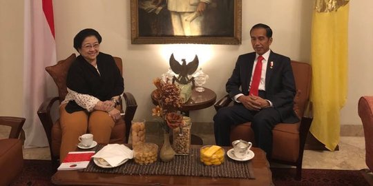 Megawati Soal Kritik Tak Beretika: Masak Masih Ada yang Mengatakan Jokowi Kodok