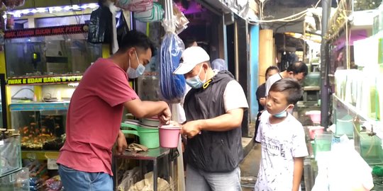 Ikan Cupang Digondol Maling, Pedagang di Malang Merugi Rp25 Juta