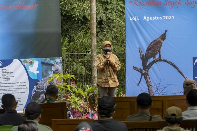 elang garuda dilepasliarkan di hutan tnbts