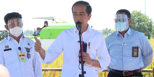 Jokowi Tinjau Pabrik Pengelolaan Porang: Harapan Jadi Nilai Tambah untuk Petani