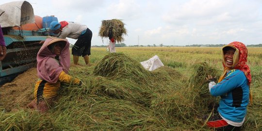 Moeldoko Dorong Peningkatan Kapasitas Petani agar Lebih Sejahtera