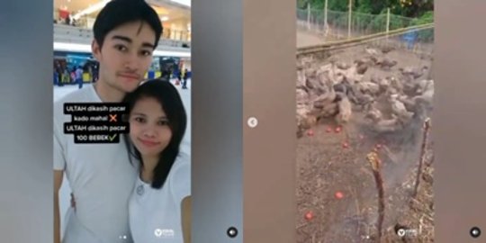 Tak Ingin Kado Mahal, Wanita Ini Justru Diberi 100 Bebek dari Pacar Bule Saat Ultah