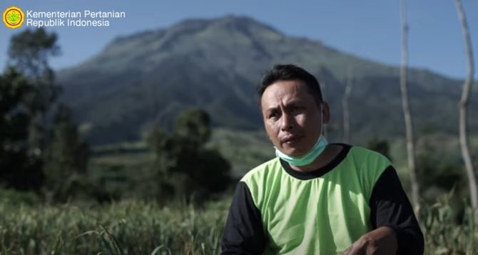 kisah petani bawang putih di temanggung