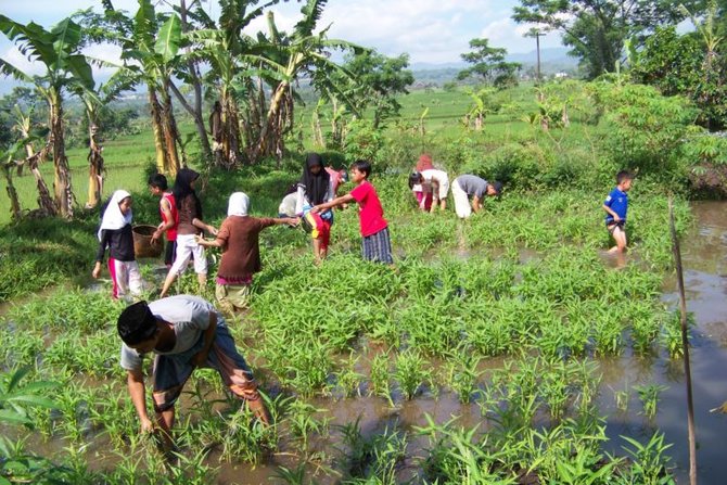 pesantren ekologi garut