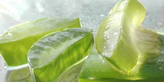 8 Manfaat Aloe Vera untuk Wajah dan Kulit, Bantu Lawan Jerawat dan Tanda Penuaan