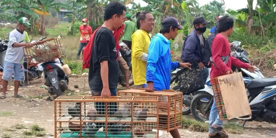 Picu Kerumunan, Balap Merpati di Bekasi Dibubarkan Polisi