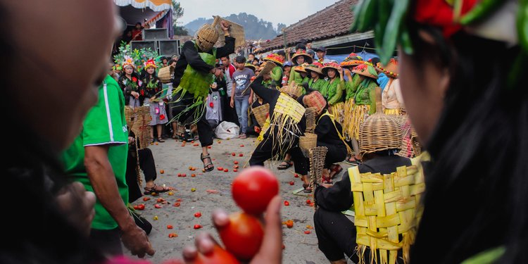 Keseruan Perang Tomat Lembang Tradisi Unik Mirip La Tomatina Spanyol Merdeka Com Keseruan Perang Tomat Lembang Tradisi Unik Mirip La Tomatina Spanyol Merdeka Com