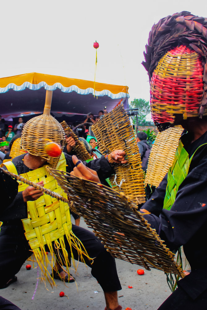 perang tomat lembang