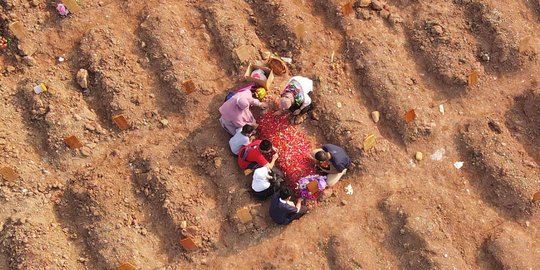 BPK Temukan Lebih Bayar Pemprov DKI dalam Pengadaan Lahan Makam