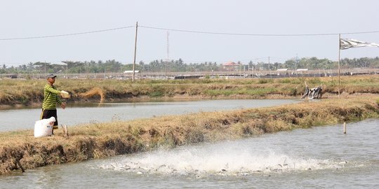 Di Bawah China, Indonesia Negara Produsen Akuakultur Terbesar Kedua Dunia
