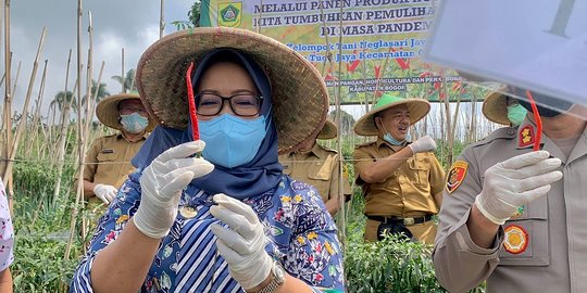 Pemkab Bogor Berharap Banyak dari Sektor Pertanian untuk Kebangkitan Ekonomi