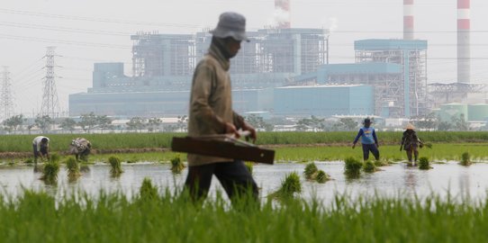 Sektor Pertanian Unggul Saat Pandemi, Jokowi Minta Pendampingan Petani Diperkuat