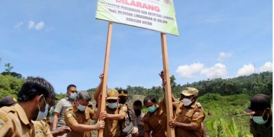 200 Hektare Hutan di Keerom Digunduli, Bupati Minta Pemilik Usaha Diproses Hukum